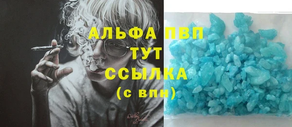 PSILOCYBIN Волоколамск