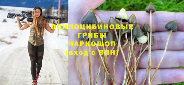 PSILOCYBIN Волоколамск