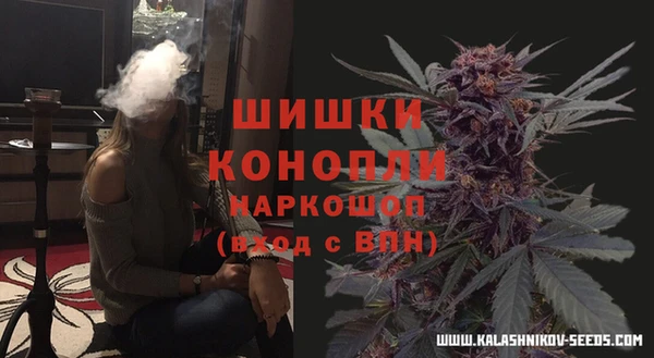 PSILOCYBIN Волоколамск