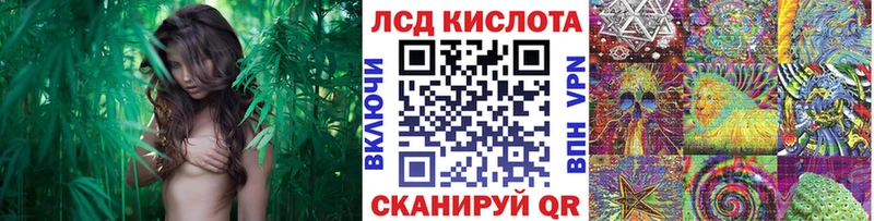 цена наркотик  Калач  Марки NBOMe 1,8мг 