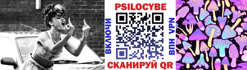 Псилоцибиновые грибы Cubensis  где купить наркоту  Калач 
